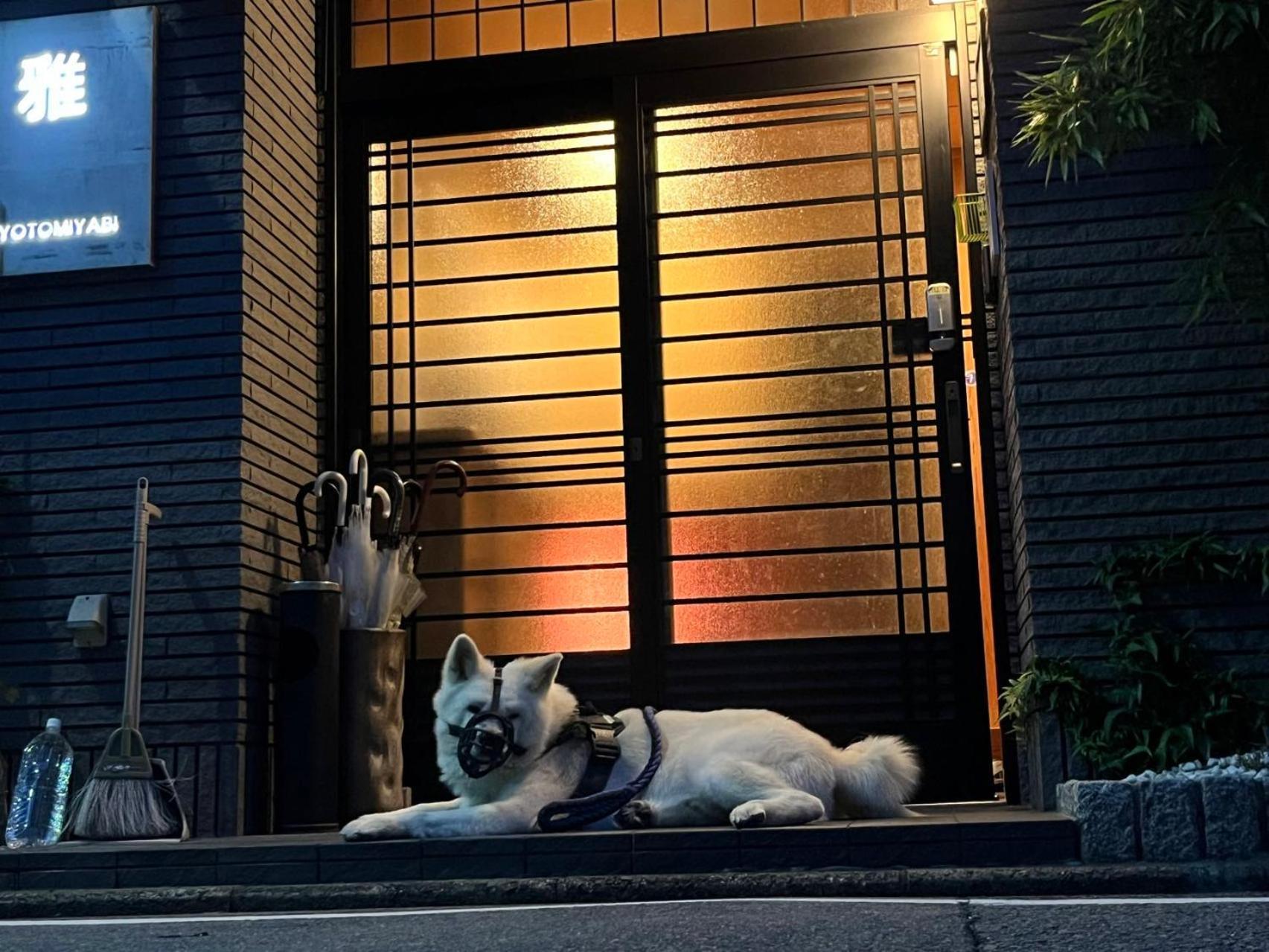 雅 Hotel Kyoto Eksteriør billede